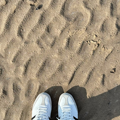 17263_117914606_01.jpg
